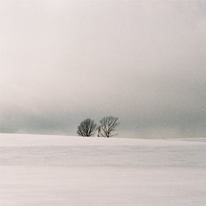 国产成人a视频高清在线观看
