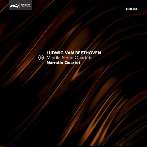 国产成人a视频高清在线观看
